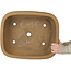 Ovale, ongeglazuurde bonsaipot van Shoko - 485 x 395 x 175 mm