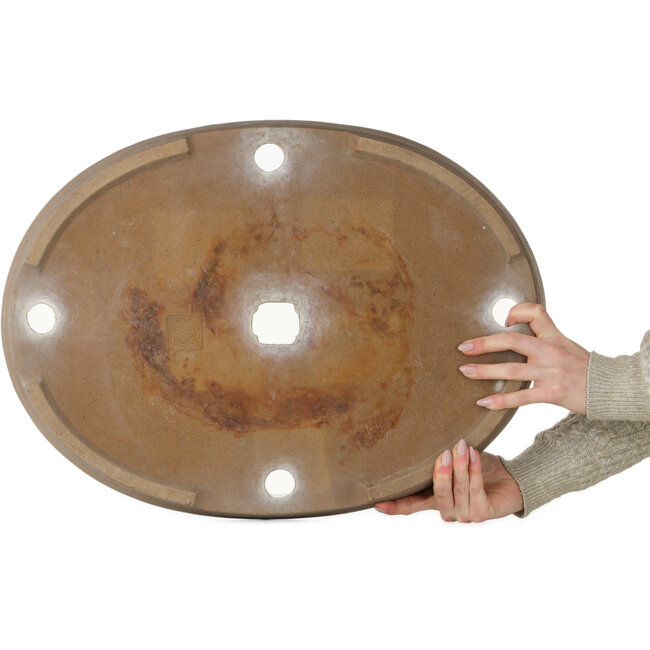 Oval unglazed bonsai pot by Izumiya (Zenigo) - 557 x 410 x 73 mm