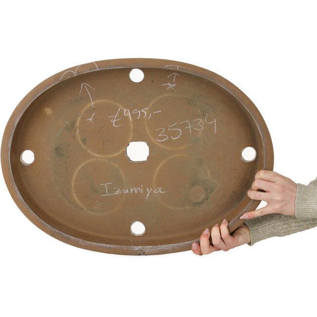 Maceta ovalada sin esmaltar para bonsái de Izumiya (Zenigo) - 557 x 410 x 73 mm
