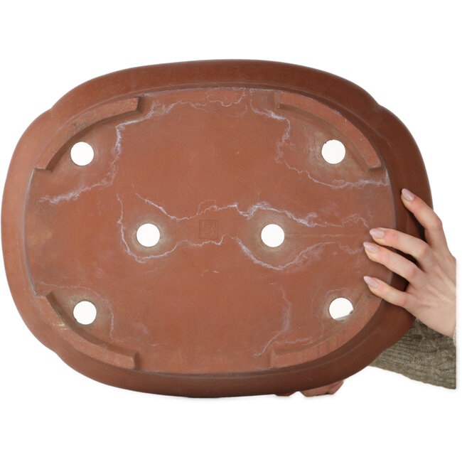 Mokko ongeglazuurde bonsaipot van Kizan - 470 x 365 x 113 mm