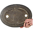 Oval unglazed bonsai pot - 472 x 345 x 62 mm