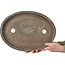 Oval unglazed bonsai pot - 472 x 345 x 62 mm