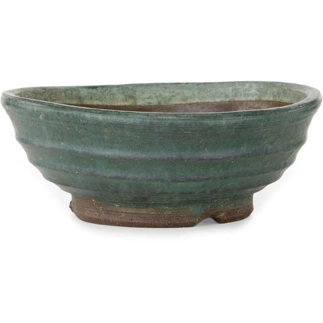 Vaso bonsai rotondo verde - 210 x 210 x 80 mm