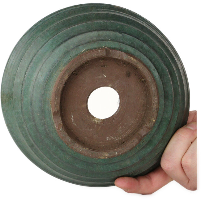 Ronde groene bonsaipot - 210 x 210 x 80 mm