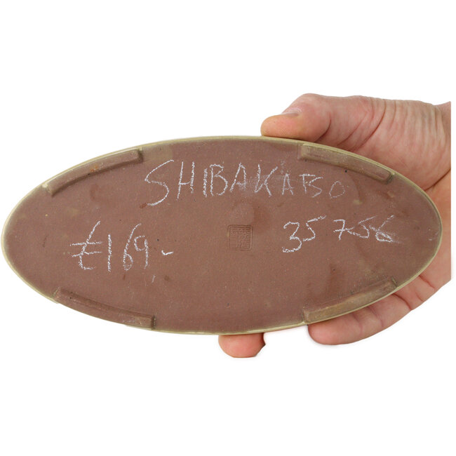 Suiban blanco roto de Shibakatsu - 217 x 100 x 15 mm