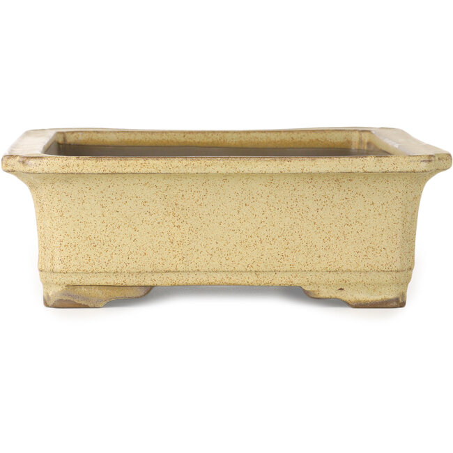 Pot à bonsaï rectangulaire beige de Houtoku - 410 x 313 x 103 mm