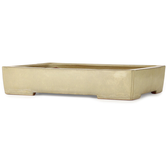 Maceta rectangular para bonsái de color blanco roto de Kakuzan - 465 x 333 x 92 mm
