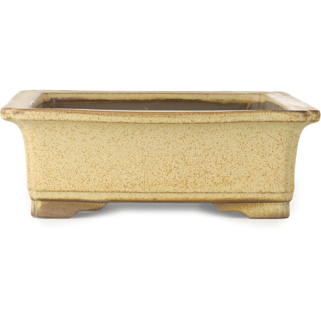 Rectangular beige bonsai pot by Houtoku - 410 x 313 x 103 mm