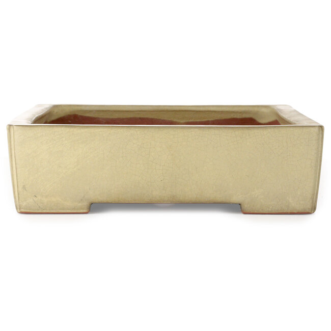Pot à bonsaï rectangulaire blanc cassé de Kakuzan - 465 x 333 x 92 mm