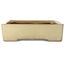 Maceta rectangular para bonsái de color blanco roto de Kakuzan - 465 x 333 x 92 mm