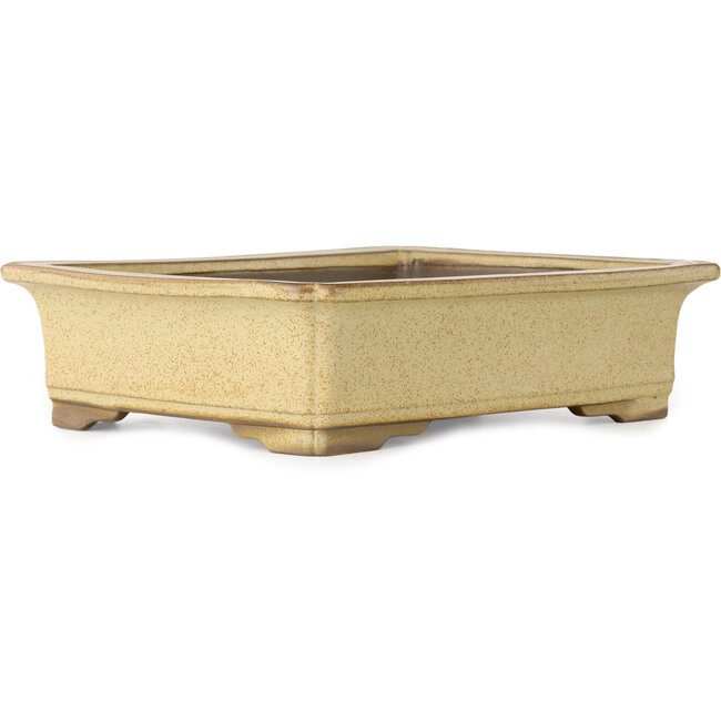 Pot à bonsaï rectangulaire beige de Houtoku - 410 x 313 x 103 mm