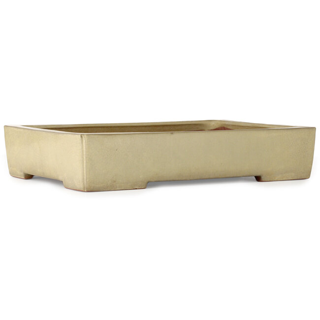 Pot à bonsaï rectangulaire blanc cassé de Kakuzan - 465 x 333 x 92 mm
