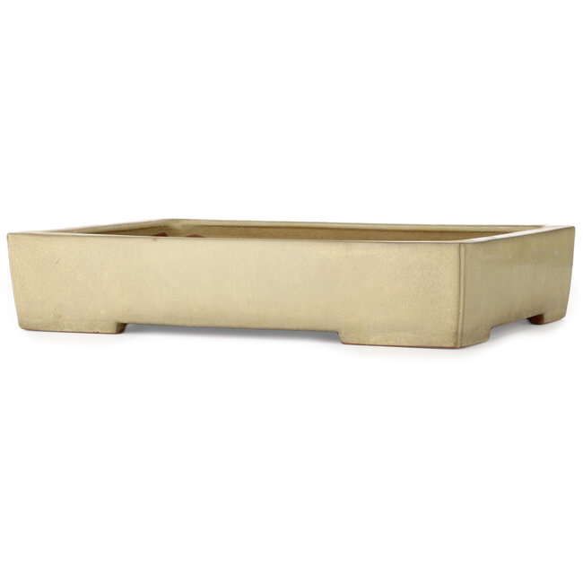 Rectangular off-white bonsai pot by Kakuzan - 465 x 333 x 92 mm