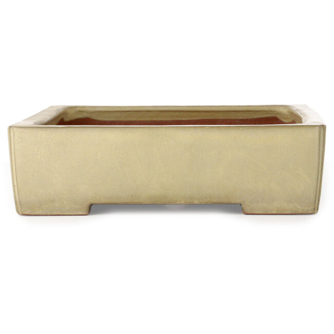 Pot à bonsaï rectangulaire blanc cassé de Kakuzan - 465 x 333 x 92 mm