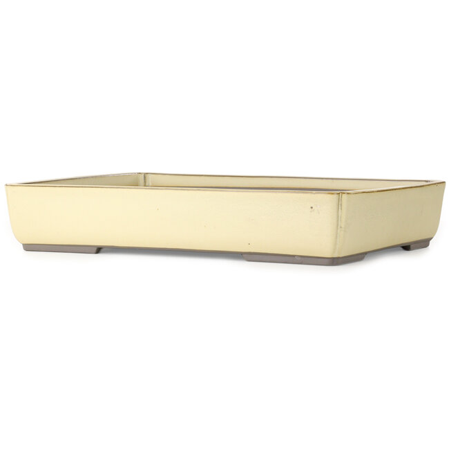 Rectangular off-white bonsai pot by Houtoku - 462 x 338 x 80 mm