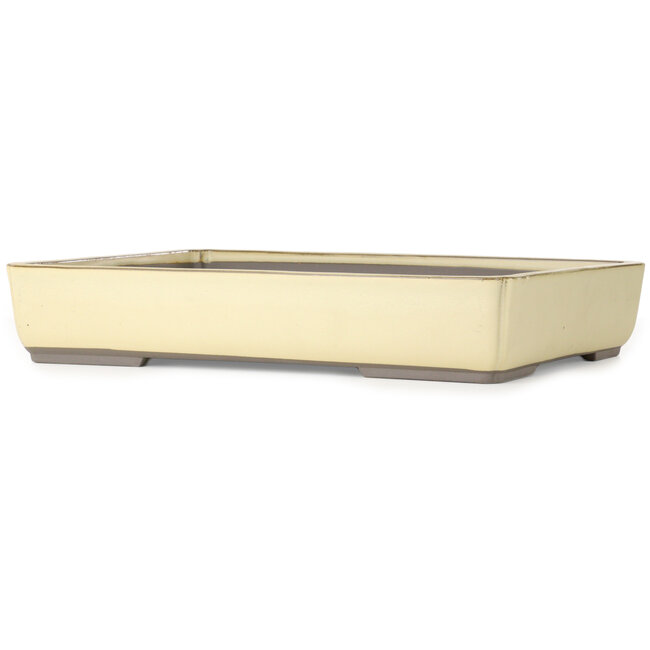 Maceta rectangular para bonsái en color blanco roto de Houtoku - 462 x 338 x 80 mm