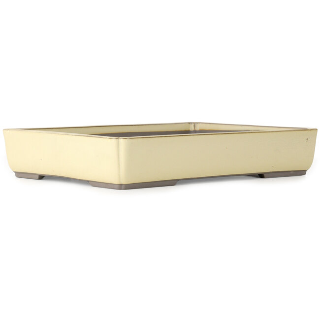 Rectangular off-white bonsai pot by Houtoku - 462 x 338 x 80 mm