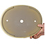 Pot à bonsaï ovale blanc cassé de Houtoku - 460 x 360 x 85 mm