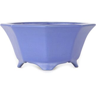 Shozan 180 mm octagonal blue bonsai pot by Shozan, Tokoname, Japan