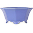 Maceta octogonal azul para bonsái de Shozan - 180 x 180 x 90 mm
