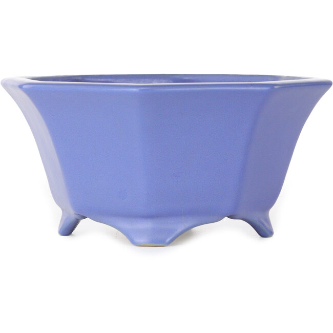 Vaso ottagonale blu per bonsai di Shozan - 180 x 180 x 90 mm