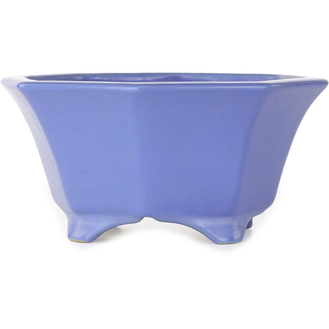 Maceta octogonal azul para bonsái de Shozan - 180 x 180 x 90 mm