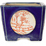 Quadratischer blauer Bonsai-Topf mit rotem und weißem Aufdruck – 70 x 70 x 53 mm