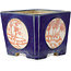 Square blue with red and white stamp bonsai pot - 70 x 70 x 53 mm