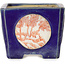 Maceta de bonsái cuadrada azul con sello rojo y blanco - 70 x 70 x 53 mm