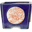 Quadratischer blauer Bonsai-Topf mit rotem und weißem Aufdruck – 70 x 70 x 53 mm