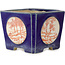 Vierkante blauwe bonsaipot met rode en witte opdruk - 70 x 70 x 53 mm