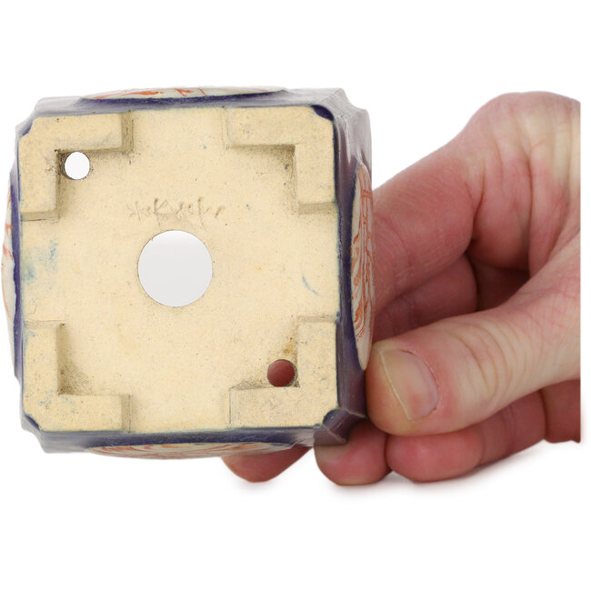 Maceta de bonsái cuadrada azul con sello rojo y blanco - 70 x 70 x 53 mm