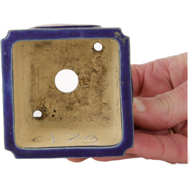 Vierkante blauwe bonsaipot met rode en witte opdruk - 70 x 70 x 53 mm