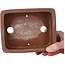 Maceta rectangular sin esmaltar para bonsái - 157 x 124 x 52 mm