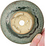 Vaso bonsai rotondo verde - 115 x 115 x 37 mm