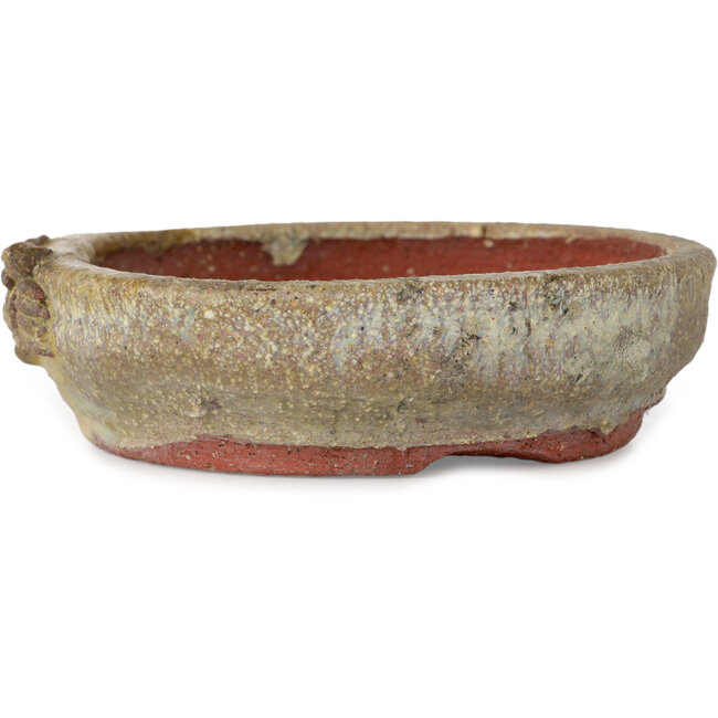 Round beige bonsai pot - 130 x 130 x 37 mm