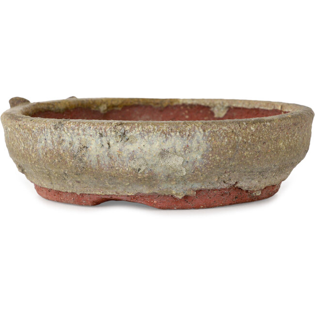 Round beige bonsai pot - 130 x 130 x 37 mm
