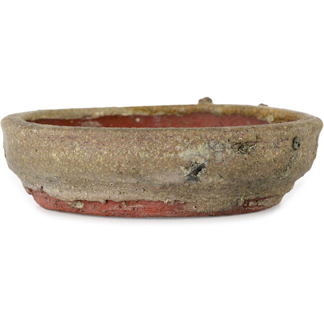 Pot rond beige pour bonsaï - 130 x 130 x 37 mm