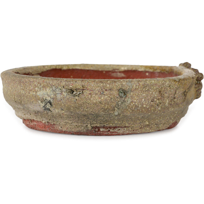 Round beige bonsai pot - 130 x 130 x 37 mm
