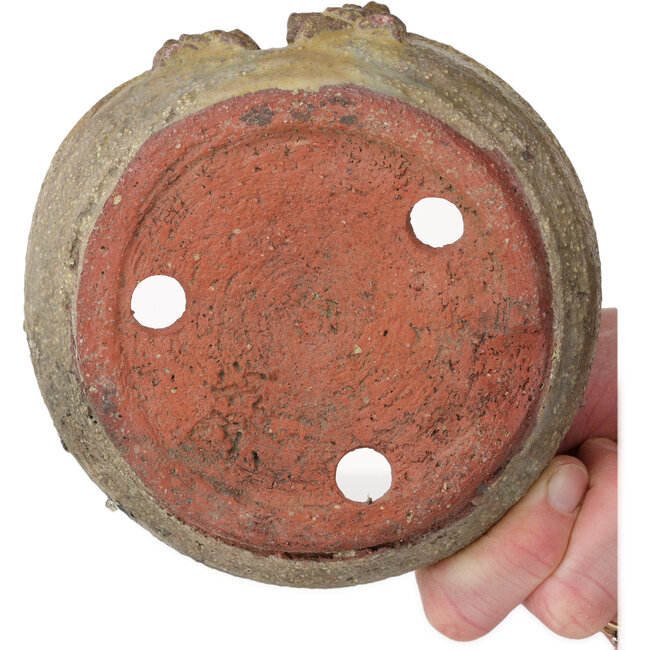 Pot rond beige pour bonsaï - 130 x 130 x 37 mm