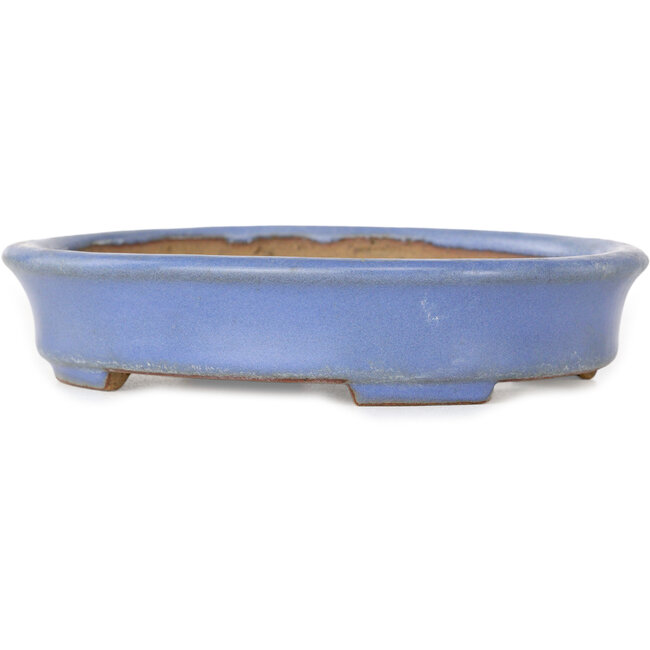 Pot à bonsaï ovale bleu de Yamafusa, deuxième génération - 137 x 110 x 27 mm