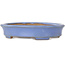 Ovaler blauer Bonsai-Topf von Yamafusa, zweite Generation – 137 x 110 x 27 mm
