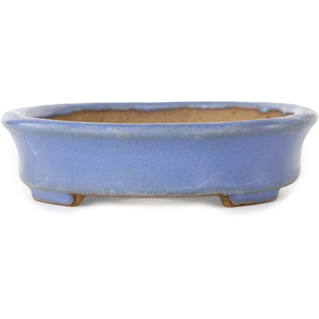 Maceta ovalada azul para bonsái de Yamafusa, segunda generación - 137 x 110 x 27 mm