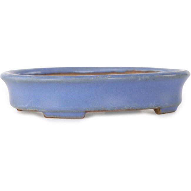 Vaso bonsai ovale blu di Yamafusa, seconda generazione - 137 x 110 x 27 mm
