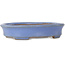 Vaso bonsai ovale blu di Yamafusa, seconda generazione - 137 x 110 x 27 mm