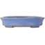 Vaso bonsai ovale blu di Yamafusa, seconda generazione - 137 x 110 x 27 mm