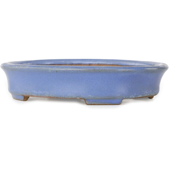 Oval blue bonsai pot by Yamafusa, second generation - 137 x 110 x 27 mm