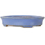 Vaso bonsai ovale blu di Yamafusa, seconda generazione - 137 x 110 x 27 mm