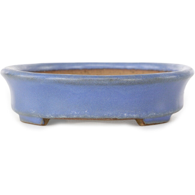 Oval blue bonsai pot by Yamafusa, second generation - 137 x 110 x 27 mm