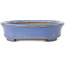 Maceta ovalada azul para bonsái de Yamafusa, segunda generación - 137 x 110 x 27 mm